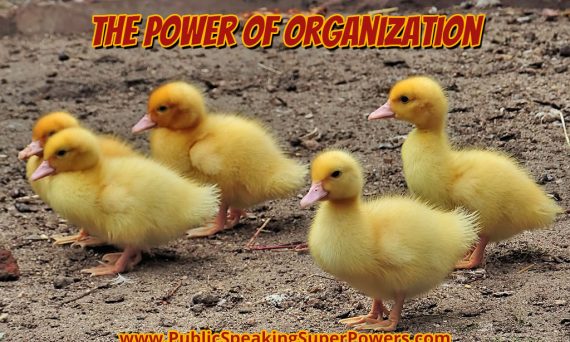 ducks in a row - the power of organization